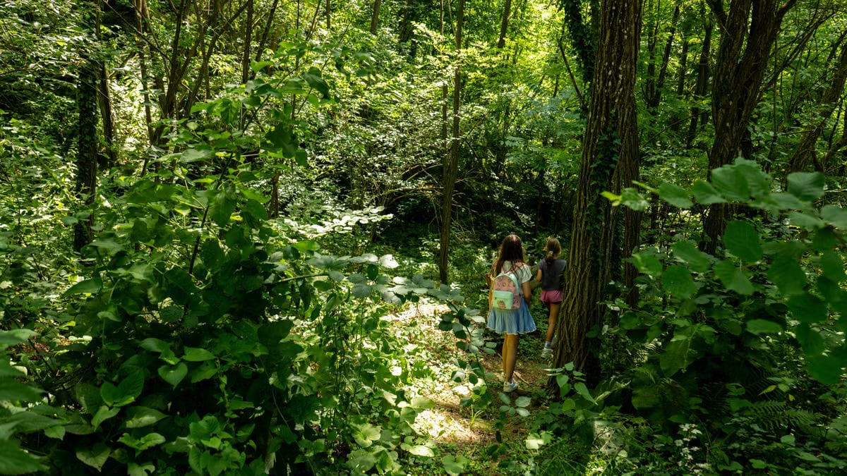 Two children exploring a green forest in Croatia, surrounded by lush vegetation.